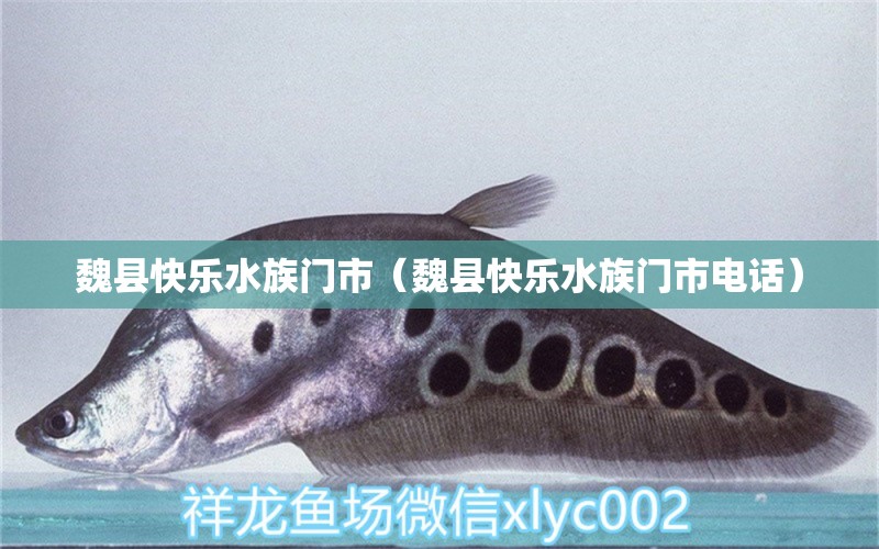 魏县快乐水族门市（魏县快乐水族门市电话）