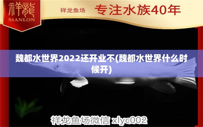 魏都水世界2022还开业不(魏都水世界什么时候开) 绿皮辣椒小红龙