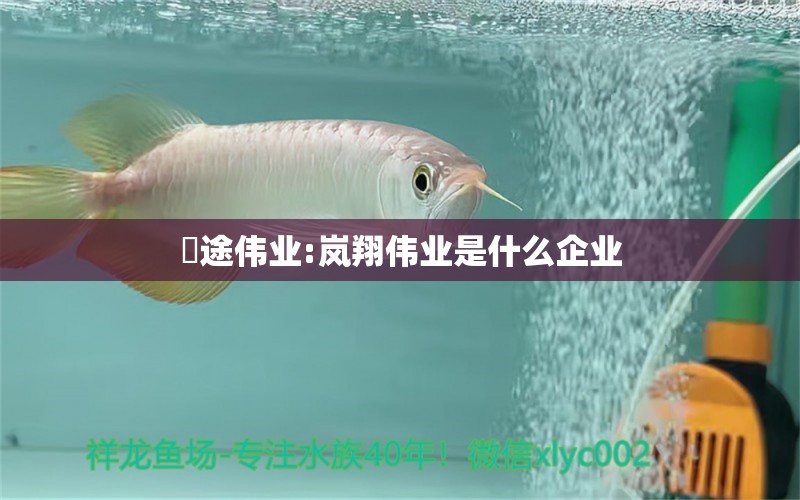 魟途伟业:岚翔伟业是什么企业 水族品牌