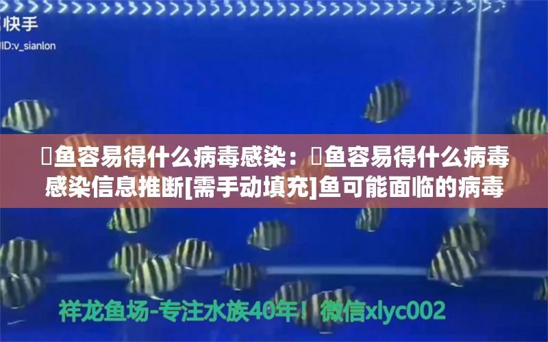 魟鱼容易得什么病毒感染：魟鱼容易得什么病毒感染信息推断[需手动填充]鱼可能面临的病毒感染风险