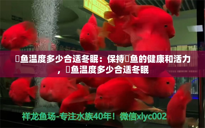 魟鱼温度多少合适冬眠：保持魟鱼的健康和活力，魟鱼温度多少合适冬眠