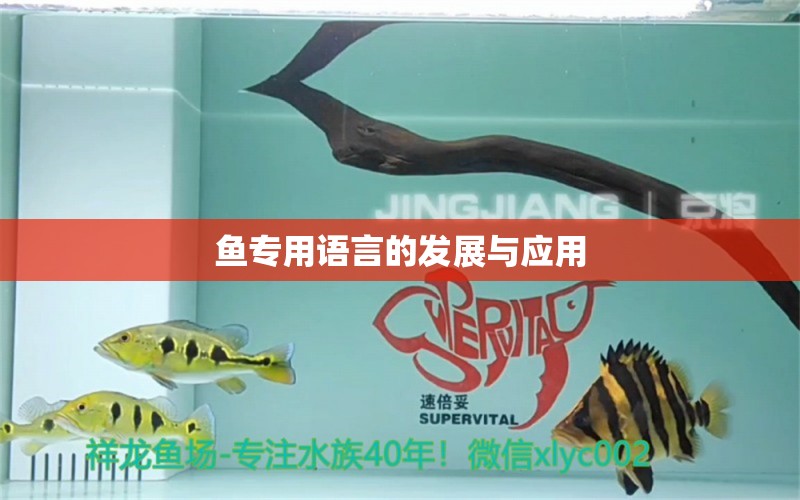 鱼专用语言的发展与应用 水族品牌