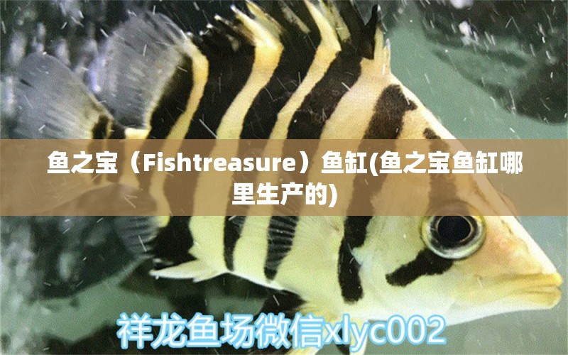 鱼之宝（Fishtreasure）鱼缸(鱼之宝鱼缸哪里生产的)