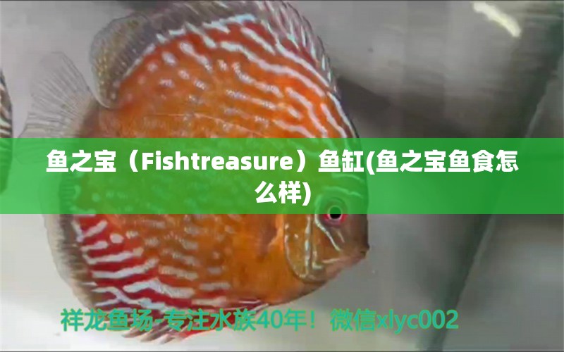 鱼之宝（Fishtreasure）鱼缸(鱼之宝鱼食怎么样)