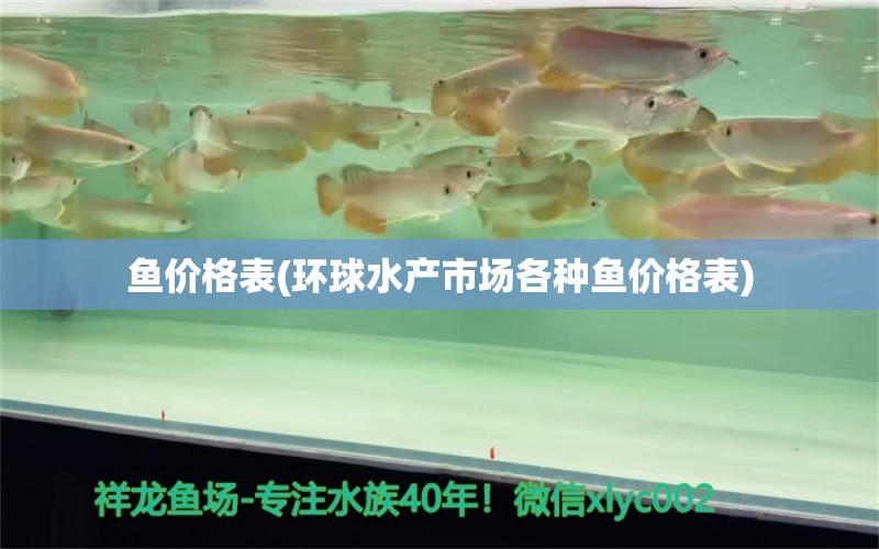 鱼价格表(环球水产市场各种鱼价格表) 胭脂孔雀龙鱼