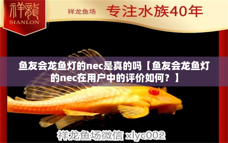 鱼友会龙鱼灯的nec是真的吗【鱼友会龙鱼灯的nec在用户中的评价如何？】