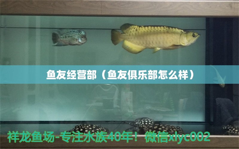 鱼友经营部（鱼友俱乐部怎么样） 全国水族馆企业名录