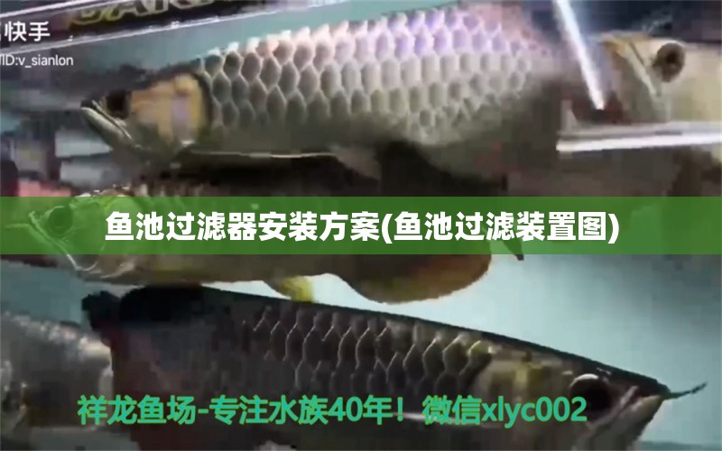 鱼池过滤器安装方案(鱼池过滤装置图) 祥龙龙鱼专用水族灯 第1张