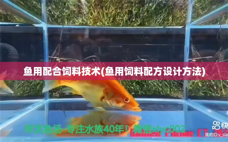 鱼用配合饲料技术(鱼用饲料配方设计方法) 白子黄化银龙鱼