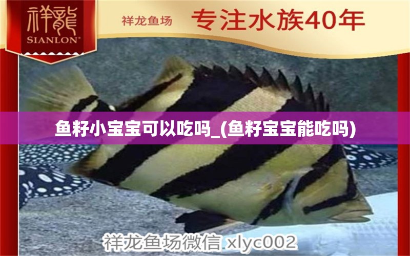 鱼籽小宝宝可以吃吗_(鱼籽宝宝能吃吗) 水族杂谈