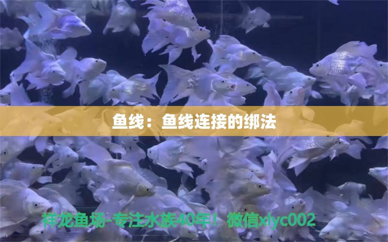 鱼线：鱼线连接的绑法