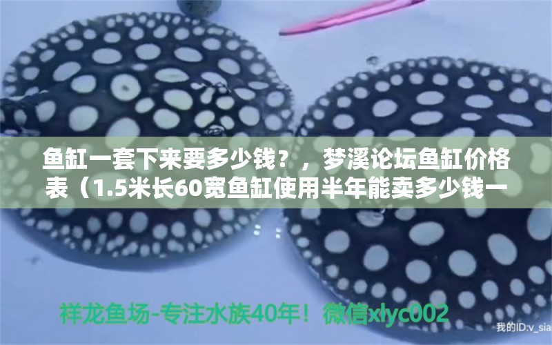 鱼缸一套下来要多少钱？，梦溪论坛鱼缸价格表（1.5米长60宽鱼缸使用半年能卖多少钱一套下来要多少钱） 祥龙进口元宝凤凰鱼 第1张