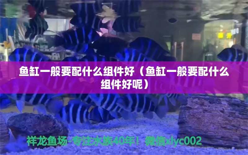 鱼缸一般要配什么组件好（鱼缸一般要配什么组件好呢） 祥龙水族医院