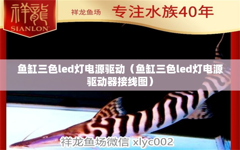 鱼缸三色led灯电源驱动（鱼缸三色led灯电源驱动器接线图）