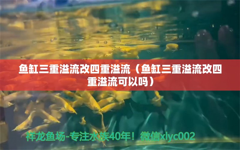 鱼缸三重溢流改四重溢流（鱼缸三重溢流改四重溢流可以吗） 观赏鱼市场（混养鱼）