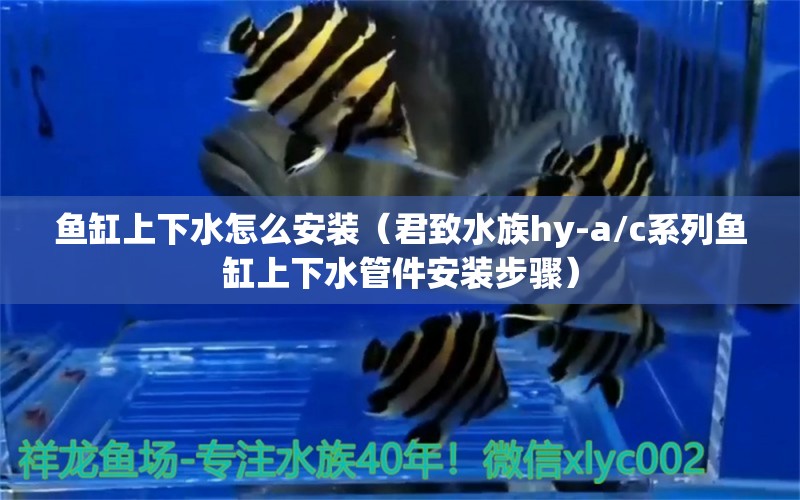 鱼缸上下水怎么安装（君致水族hy-a/c系列鱼缸上下水管件安装步骤） 鱼缸风水 第2张