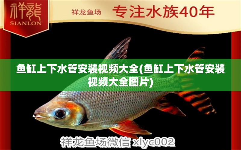 鱼缸上下水管安装视频大全(鱼缸上下水管安装视频大全图片) 水族用品 第1张