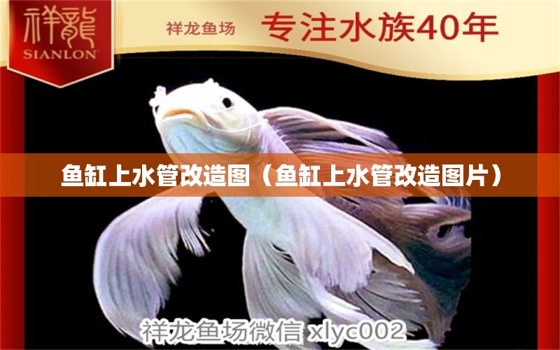 鱼缸上水管改造图（鱼缸上水管改造图片） 祥龙水族医院