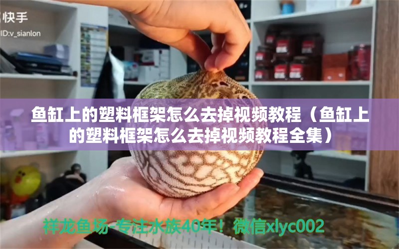 鱼缸上的塑料框架怎么去掉视频教程（鱼缸上的塑料框架怎么去掉视频教程全集） 龙鱼专用灯