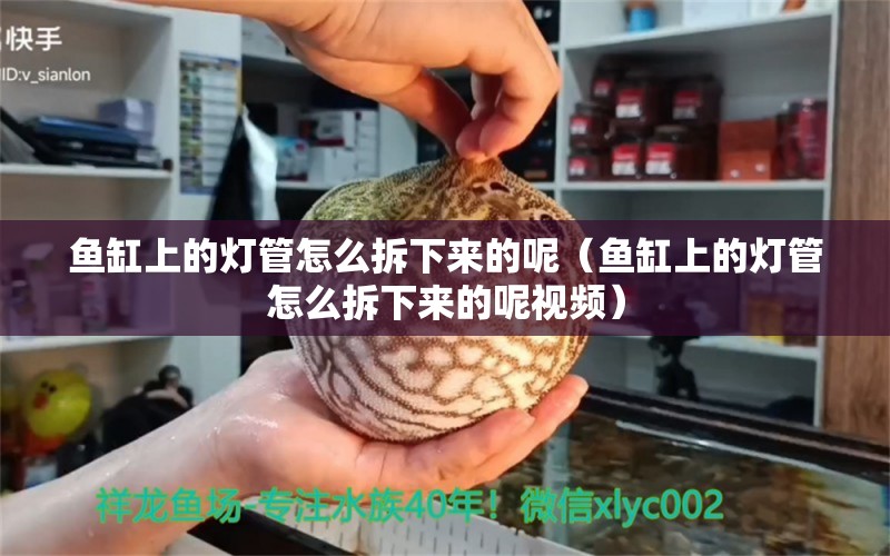 鱼缸上的灯管怎么拆下来的呢（鱼缸上的灯管怎么拆下来的呢视频） 祥龙水族医院