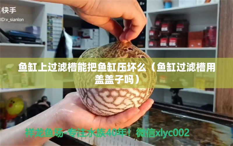 鱼缸上过滤槽能把鱼缸压坏么（鱼缸过滤槽用盖盖子吗） 观赏鱼批发