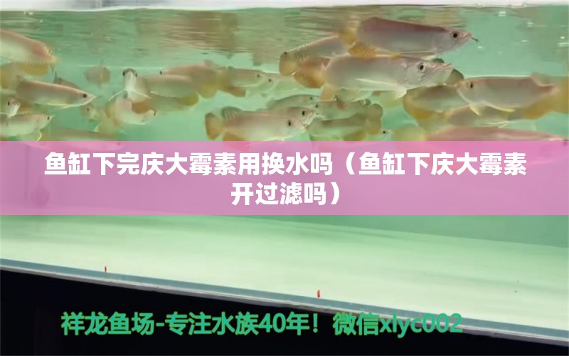 鱼缸下完庆大霉素用换水吗（鱼缸下庆大霉素开过滤吗） 观赏鱼批发