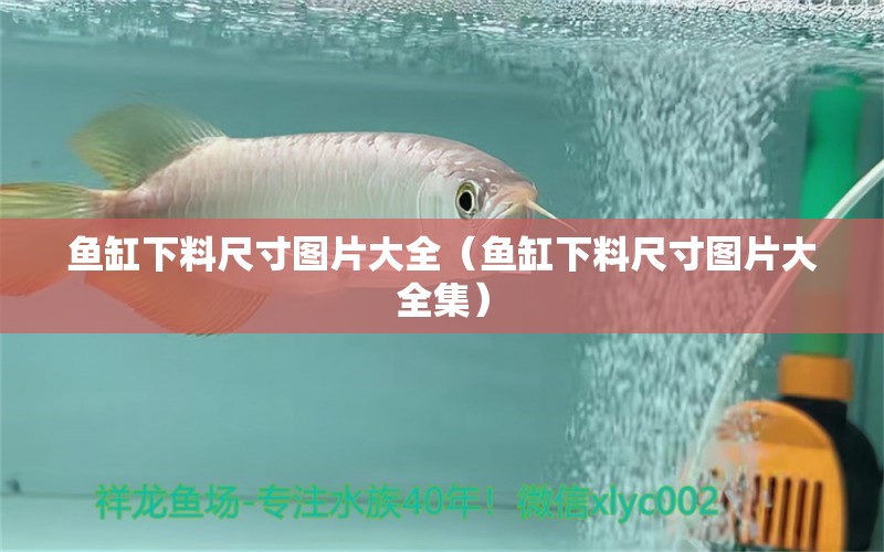 鱼缸下料尺寸图片大全（鱼缸下料尺寸图片大全集） 祥龙水族医院