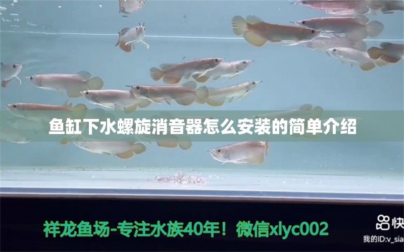 鱼缸下水螺旋消音器怎么安装的简单介绍 观赏鱼进出口 第2张