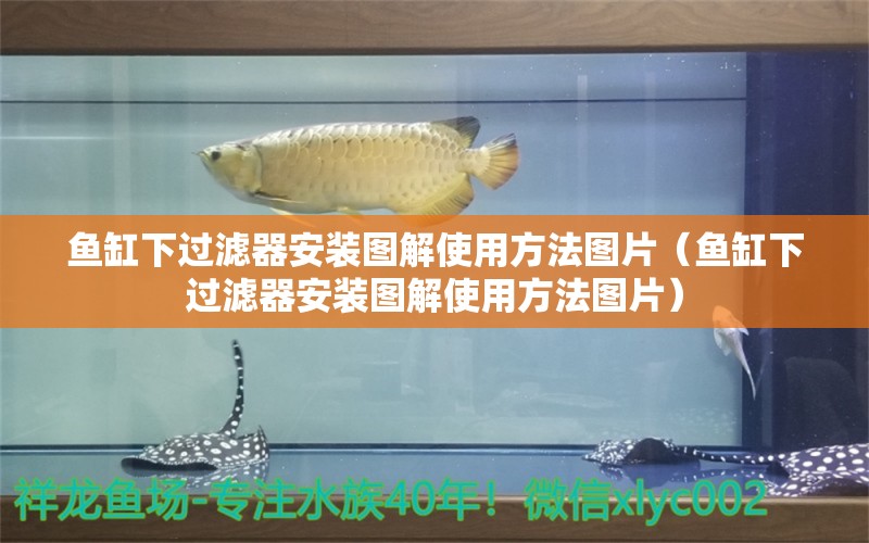 鱼缸下过滤器安装图解使用方法图片（鱼缸下过滤器安装图解使用方法图片）