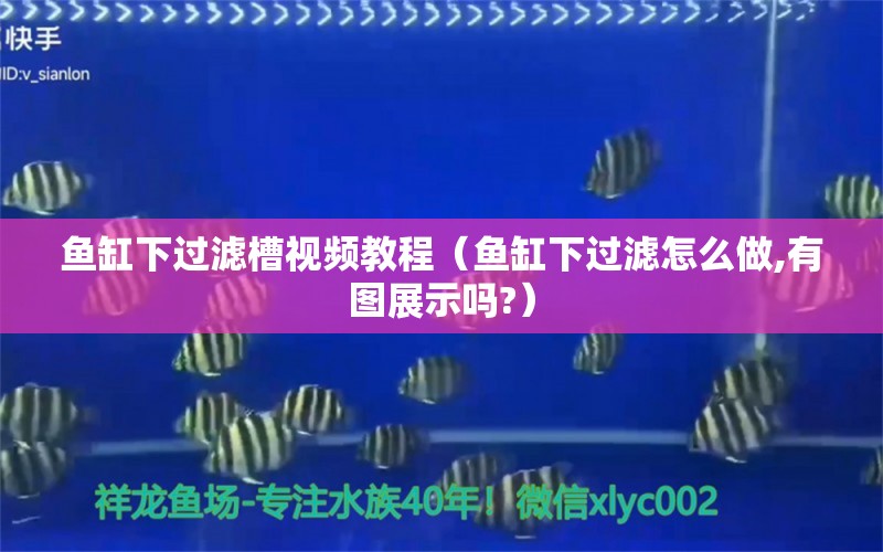 鱼缸下过滤槽视频教程（鱼缸下过滤怎么做,有图展示吗?）