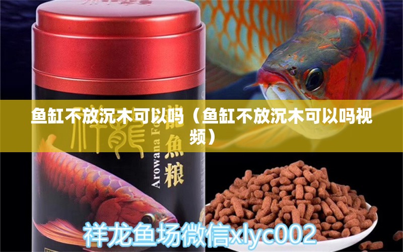 鱼缸不放沉木可以吗（鱼缸不放沉木可以吗视频） 其他品牌鱼缸