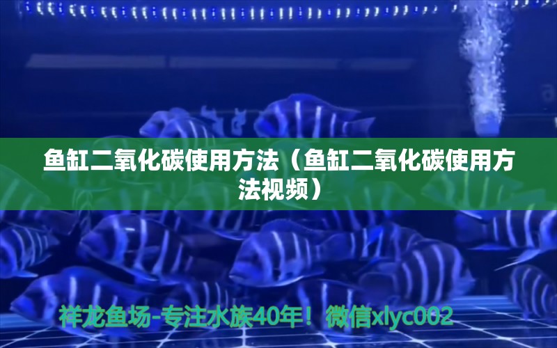 鱼缸二氧化碳使用方法（鱼缸二氧化碳使用方法视频） 二氧化碳设备