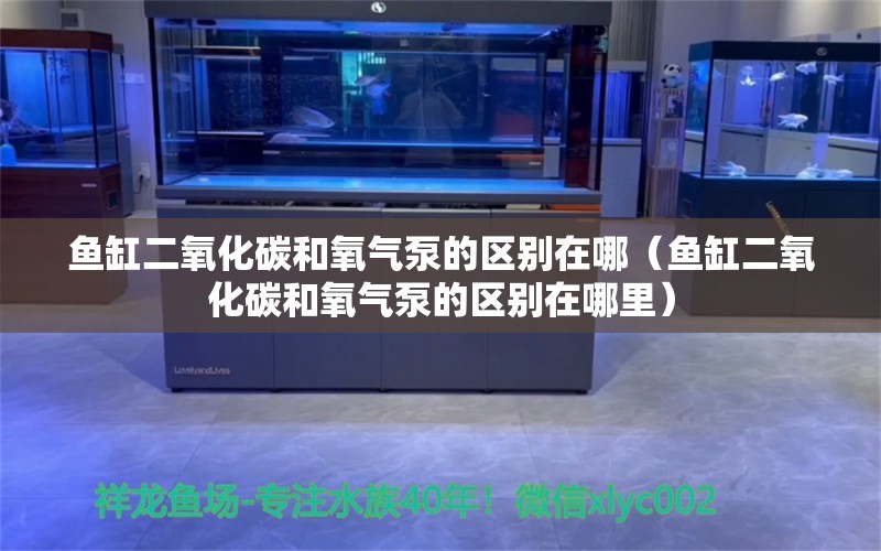 鱼缸二氧化碳和氧气泵的区别在哪（鱼缸二氧化碳和氧气泵的区别在哪里）