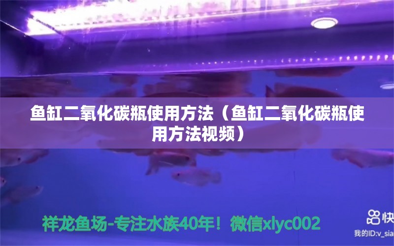 鱼缸二氧化碳瓶使用方法（鱼缸二氧化碳瓶使用方法视频） 二氧化碳设备