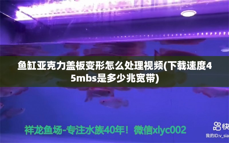 鱼缸亚克力盖板变形怎么处理视频(下载速度45mbs是多少兆宽带)