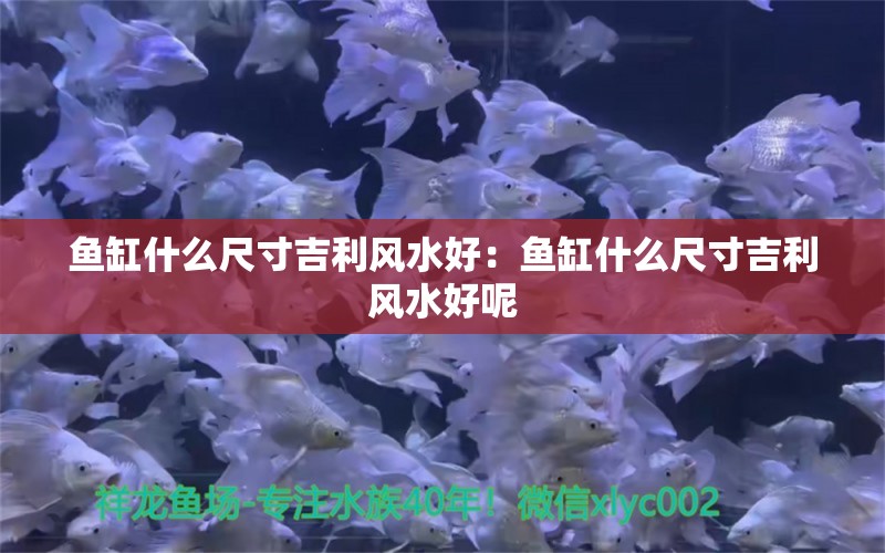 鱼缸什么尺寸吉利风水好：鱼缸什么尺寸吉利风水好呢