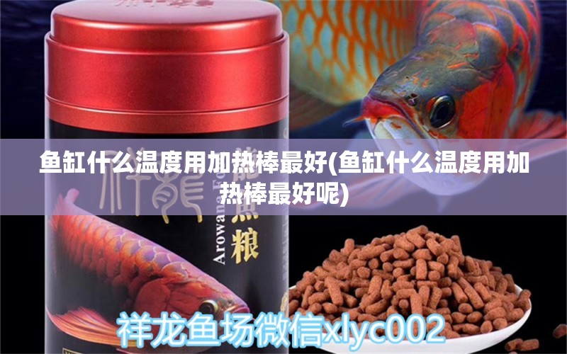 鱼缸什么温度用加热棒最好(鱼缸什么温度用加热棒最好呢) 帝王血钻 第1张