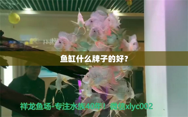 鱼缸什么牌子的好？