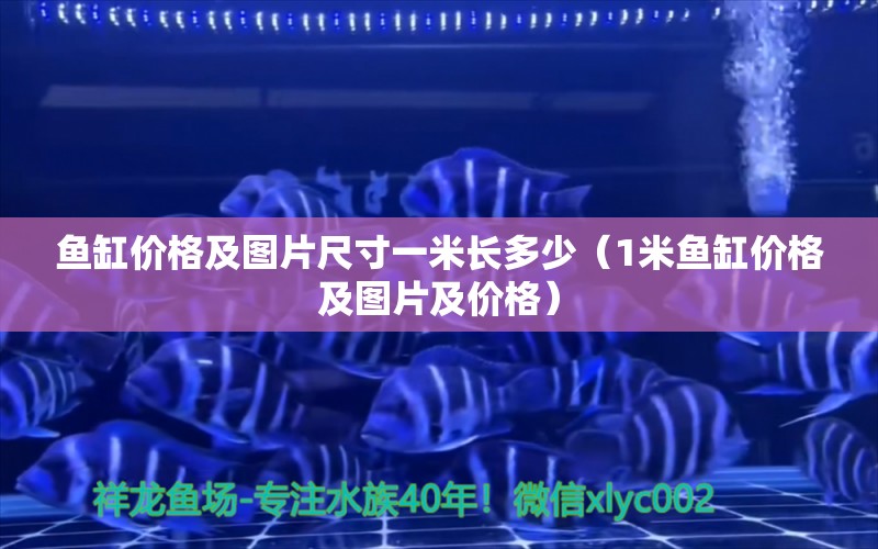 鱼缸价格及图片尺寸一米长多少（1米鱼缸价格及图片及价格） 养鱼知识