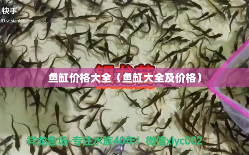 鱼缸价格大全（鱼缸大全及价格）