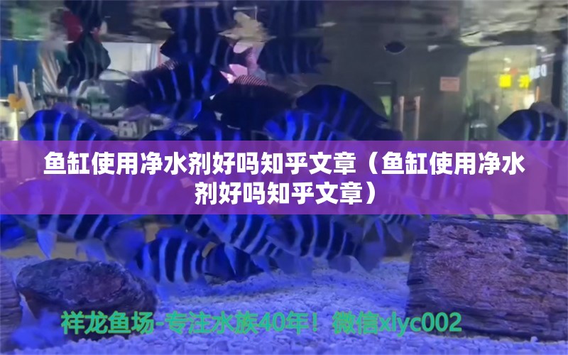 鱼缸使用净水剂好吗知乎文章（鱼缸使用净水剂好吗知乎文章） 印尼虎苗