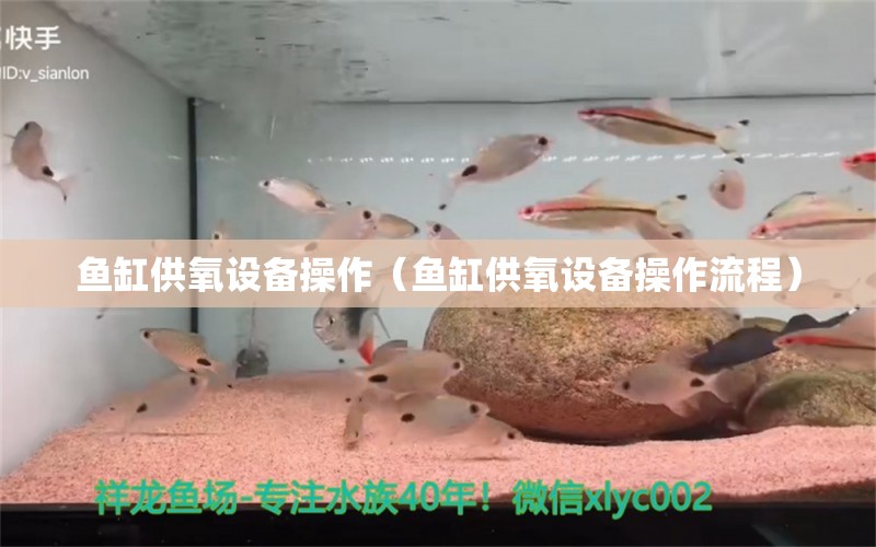 鱼缸供氧设备操作（鱼缸供氧设备操作流程） 观赏鱼市场（混养鱼）