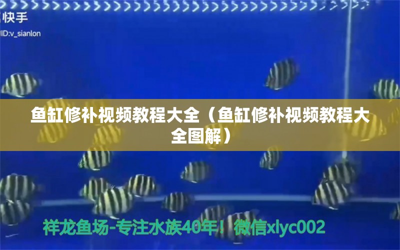 鱼缸修补视频教程大全（鱼缸修补视频教程大全图解） 祥龙水族医院