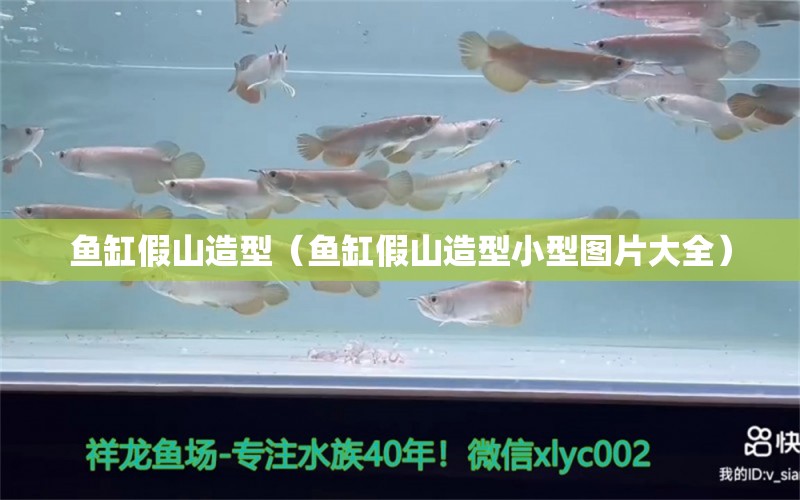 鱼缸假山造型（鱼缸假山造型小型图片大全） 水族维护服务（上门）