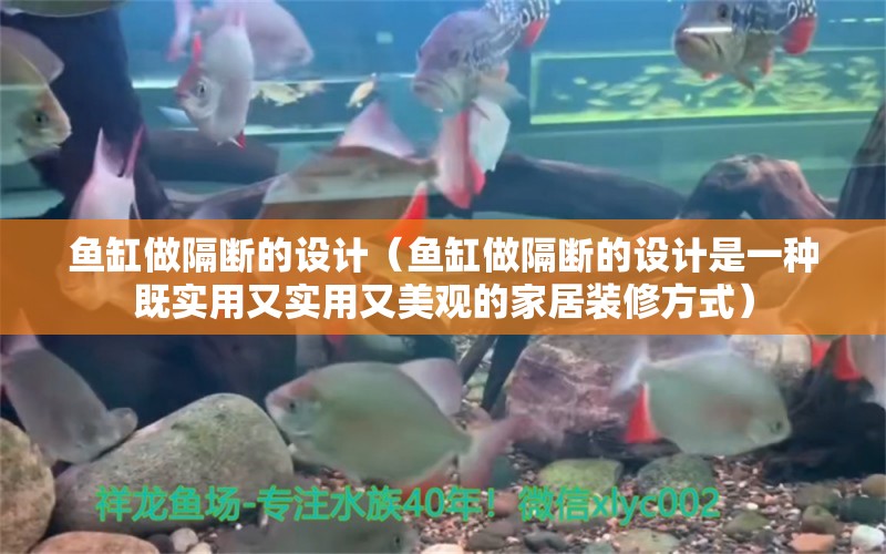 鱼缸做隔断的设计（鱼缸做隔断的设计是一种既实用又实用又美观的家居装修方式）