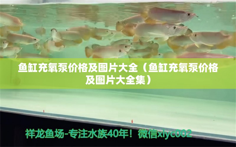 鱼缸充氧泵价格及图片大全（鱼缸充氧泵价格及图片大全集）