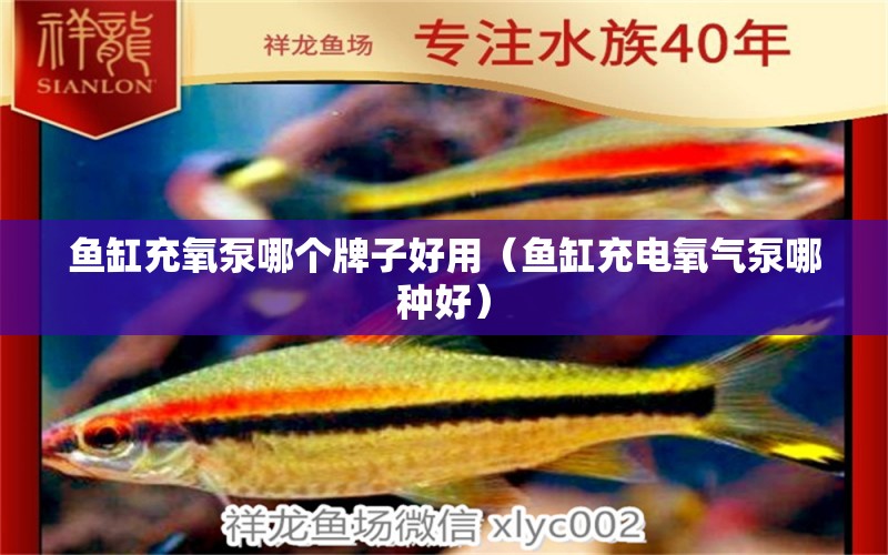 鱼缸充氧泵哪个牌子好用（鱼缸充电氧气泵哪种好） 战车红龙鱼