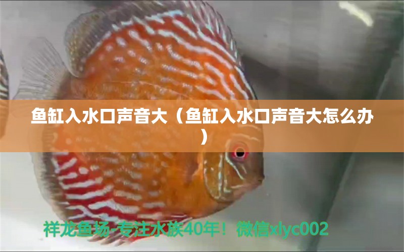 鱼缸入水口声音大（鱼缸入水口声音大怎么办）