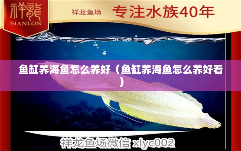 鱼缸养海鱼怎么养好（鱼缸养海鱼怎么养好看） 祥龙水族医院