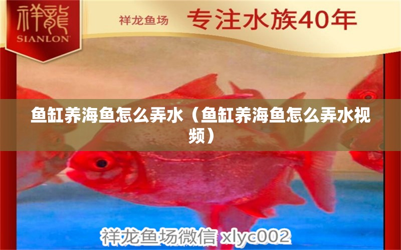 鱼缸养海鱼怎么弄水（鱼缸养海鱼怎么弄水视频） 量子养鱼技术